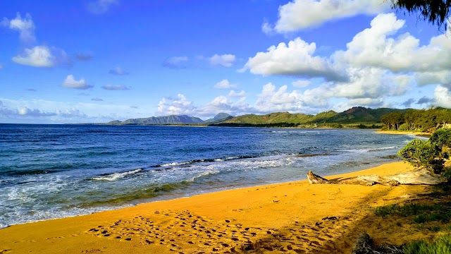 Lydgate Beach Park